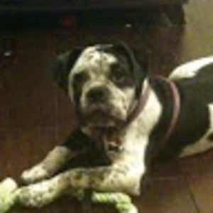 Meet your Posher, Sukisha